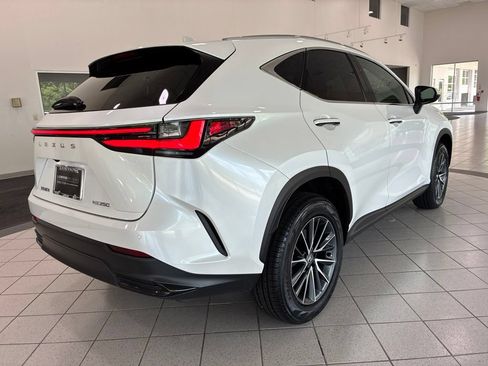 Certified 2024 Lexus NX 250 FWD image 8