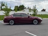 Used 2017 Honda Accord EX-L image 4