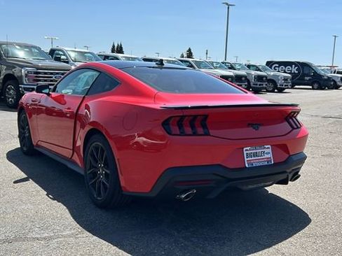 New 2026 Ford Mustang Coupe w/ Mustang Nite Pony Package RWD image 5