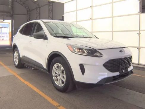 Used 2022 Ford Escape SE AWD/4WD image 5
