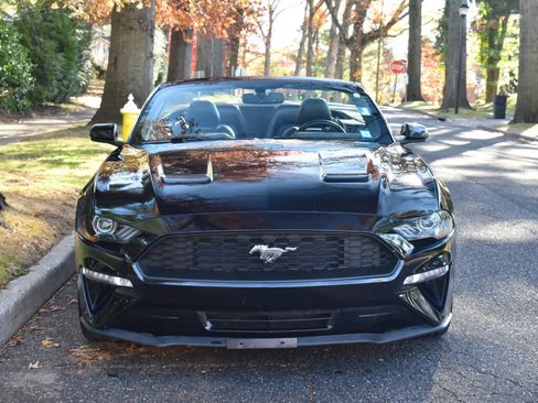 Used 2019 Ford Mustang Premium image 13
