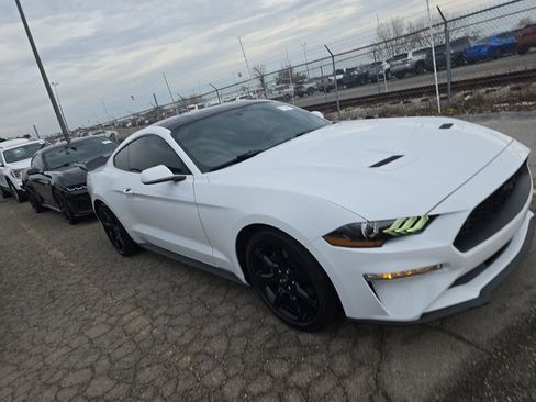 Used 2019 Ford Mustang Coupe w/ Equipment Group 101A image 3