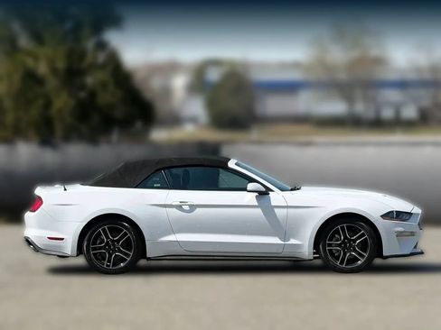 Used 2023 Ford Mustang Premium RWD image 7