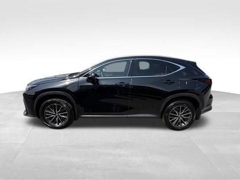 Used 2024 Lexus NX 350h AWD image 12