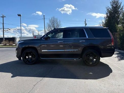 Used 2016 Cadillac Escalade Luxury image 2