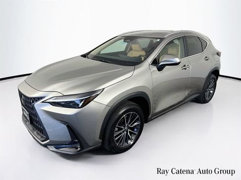 Certified 2025 Lexus NX 350h AWD w/ Cold Area Package image 3