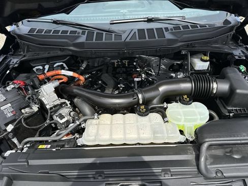 Used 2024 Ford F150 XLT w/ Equipment Group 302A MID AWD/4WD image 19