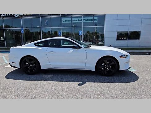 Used 2023 Ford Mustang Premium w/ Mustang Nite Pony Package image 34