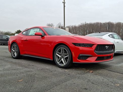 New 2026 Ford Mustang Premium RWD image 1