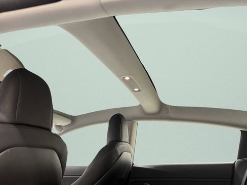 Used 2019 Tesla Model 3 Standard Range Plus image 11