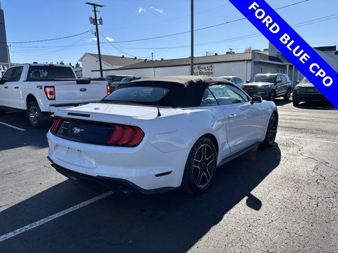 Certified 2020 Ford Mustang Premium image 3