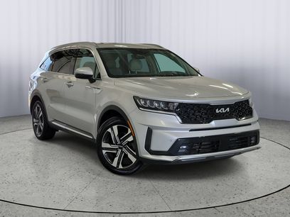 Certified 2023 Kia Sorento EX