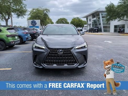 Used 2024 Lexus NX 250 FWD w/ Cold Area Package image 2