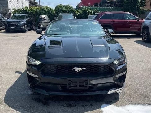 Used 2024 Ford Mustang Premium RWD image 2