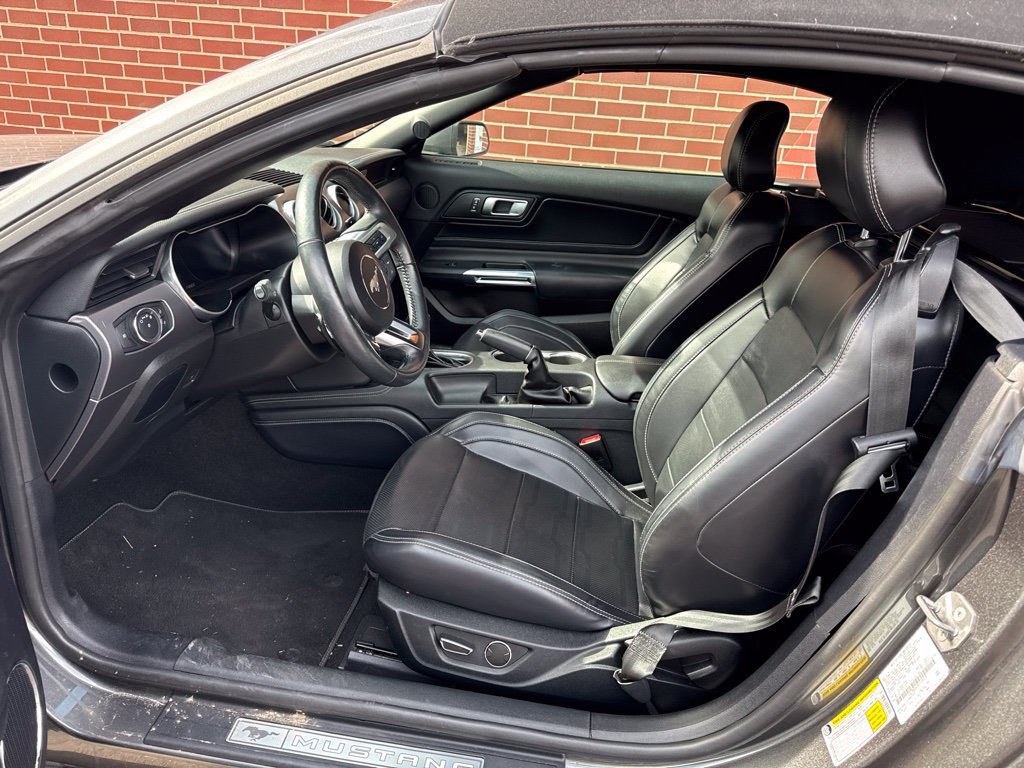Used 2019 Ford Mustang Premium w/ Equipment Group 201A RWD image 5