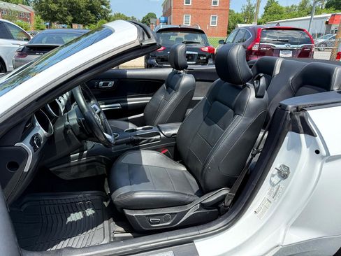 Used 2019 Ford Mustang Premium image 3