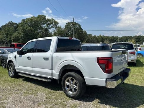 Used 2025 Ford F150 XLT w/ Equipment Group 301A Standard RWD image 13