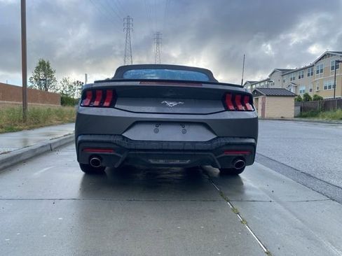 Used 2025 Ford Mustang Premium image 7