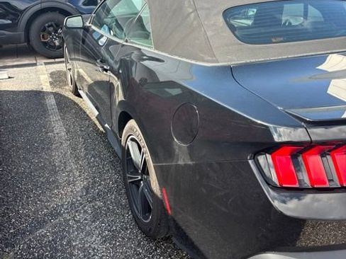 Used 2025 Ford Mustang Premium RWD image 5