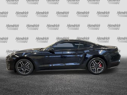 Used 2019 Ford Mustang GT Premium w/ Ford Safe & Smart Package RWD image 7