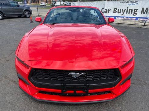 Used 2026 Ford Mustang Convertible RWD image 7