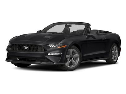 Used 2018 Ford Mustang Premium w/ Equipment Group 101A