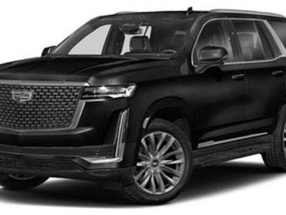 Certified 2023 Cadillac Escalade ESV Sport Platinum w/ LPO, ONYX Package