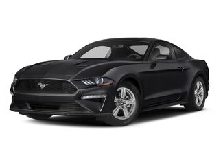 Used 2019 Ford Mustang GT video 1