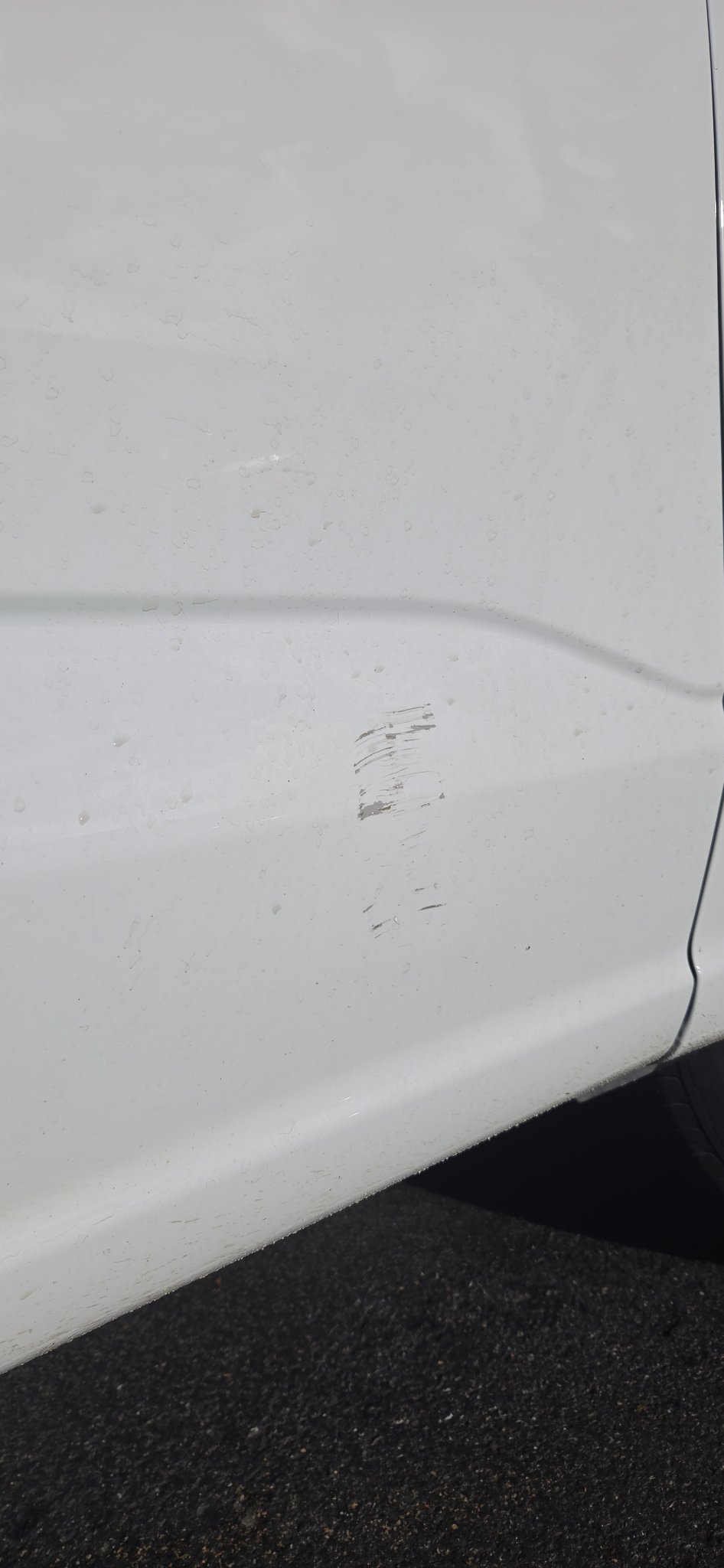 Used 2023 Ford F150 XL AWD/4WD image 10