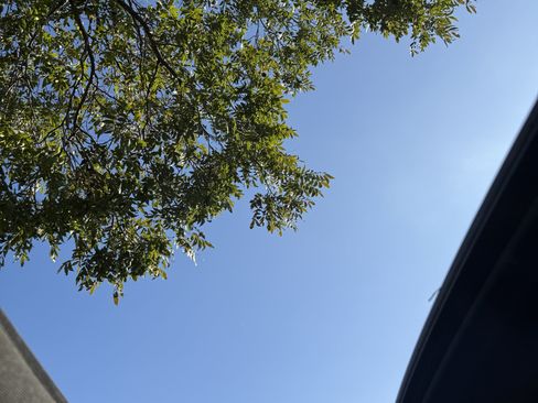 Used 2023 Chevrolet Silverado 2500 LTZ w/ Carhartt Edition image 25