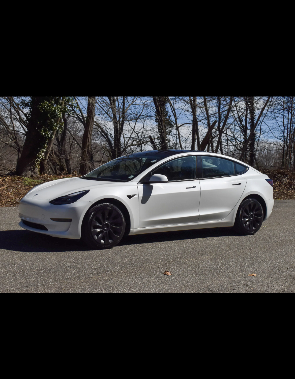 Used 2023 Tesla Model 3 Standard Range RWD image 2