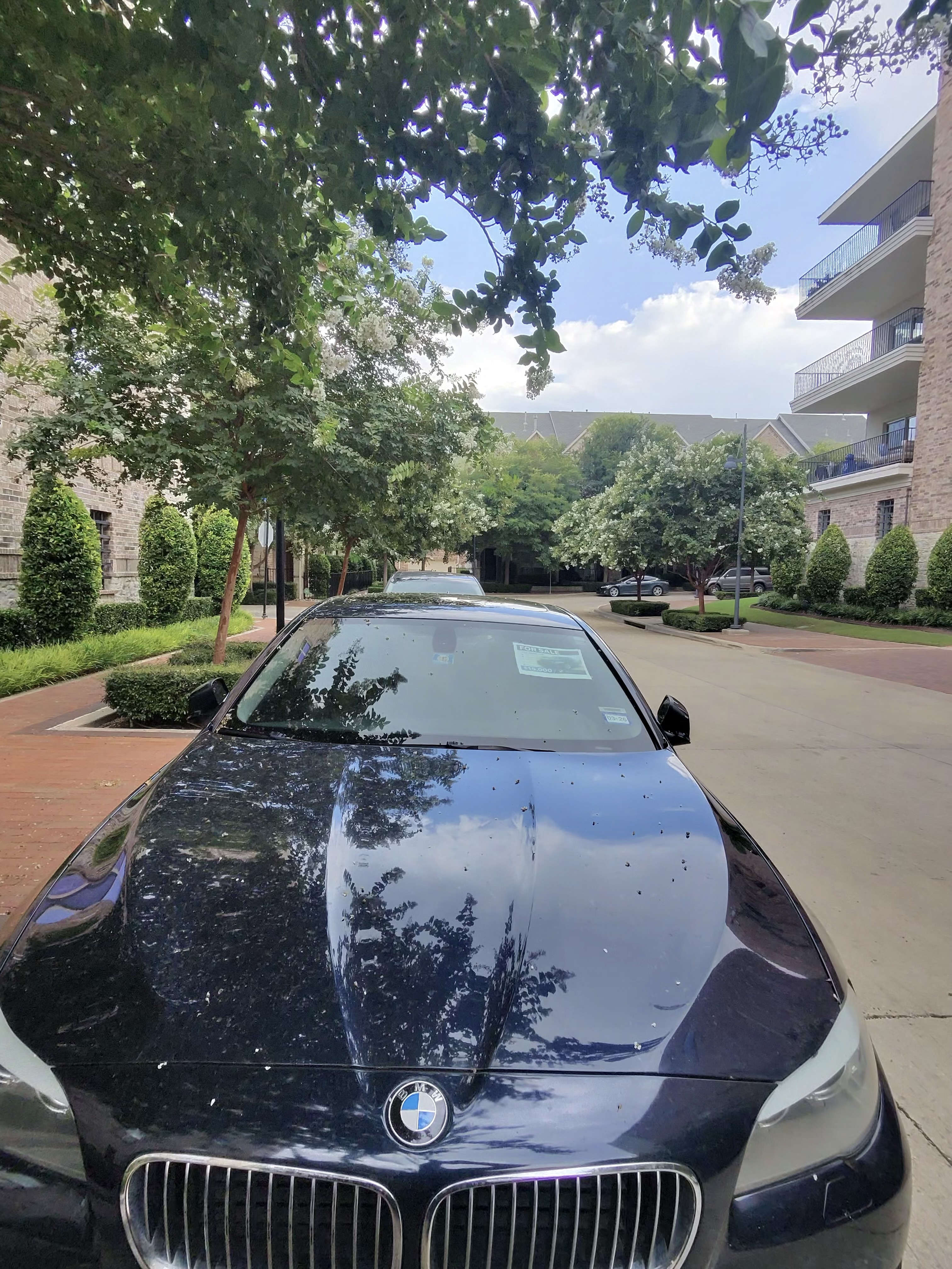 Used 2011 BMW 528i Sedan RWD image 6