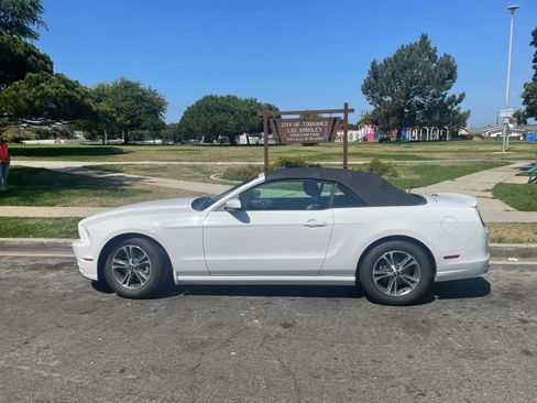 Used 2014 Ford Mustang Premium w/ Equipment Group 201A image 14