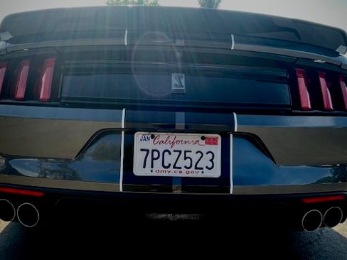 Used 2016 Ford Mustang Shelby GT350 w/ Track Package image 14