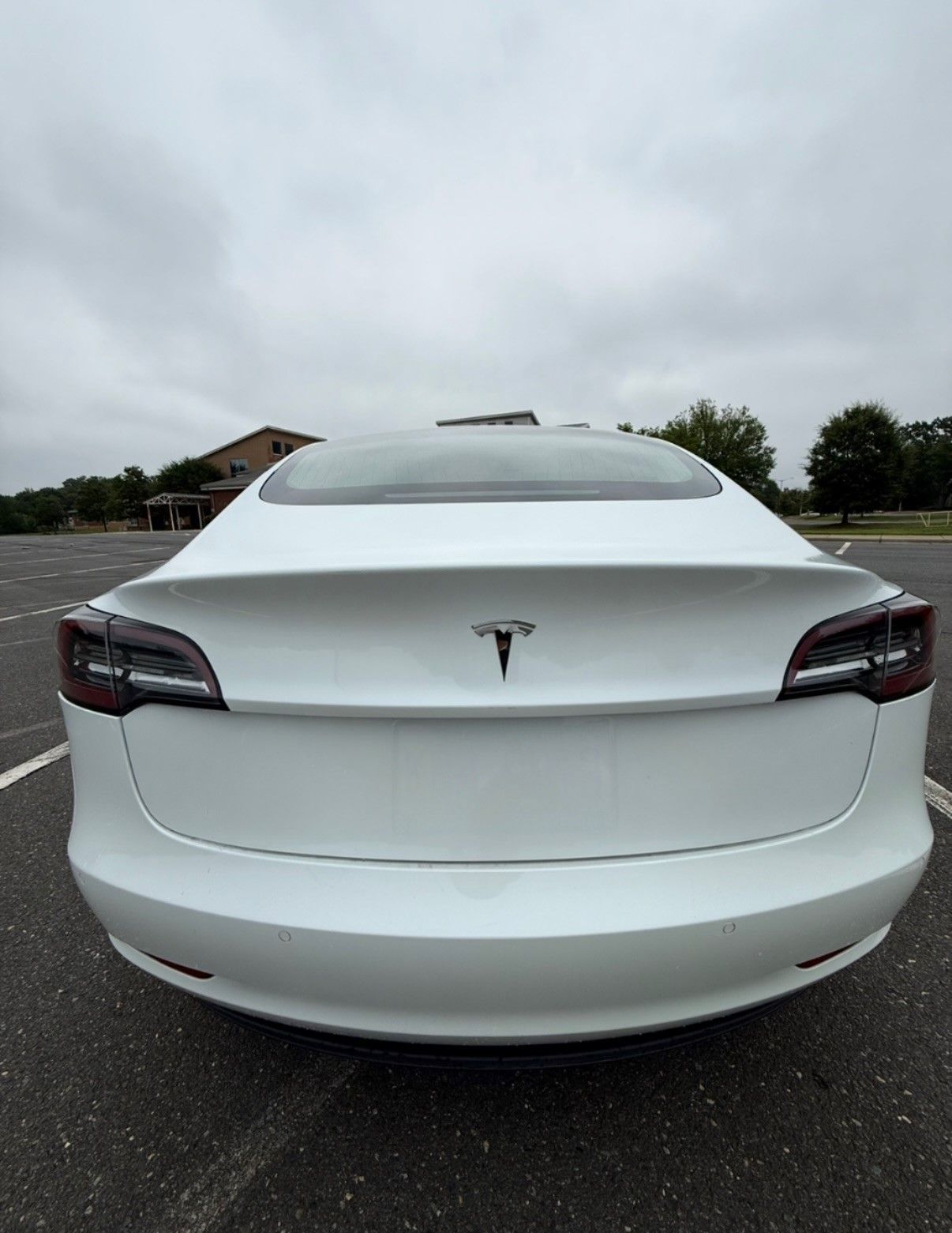 Used 2019 Tesla Model 3 Standard Range Plus RWD image 8