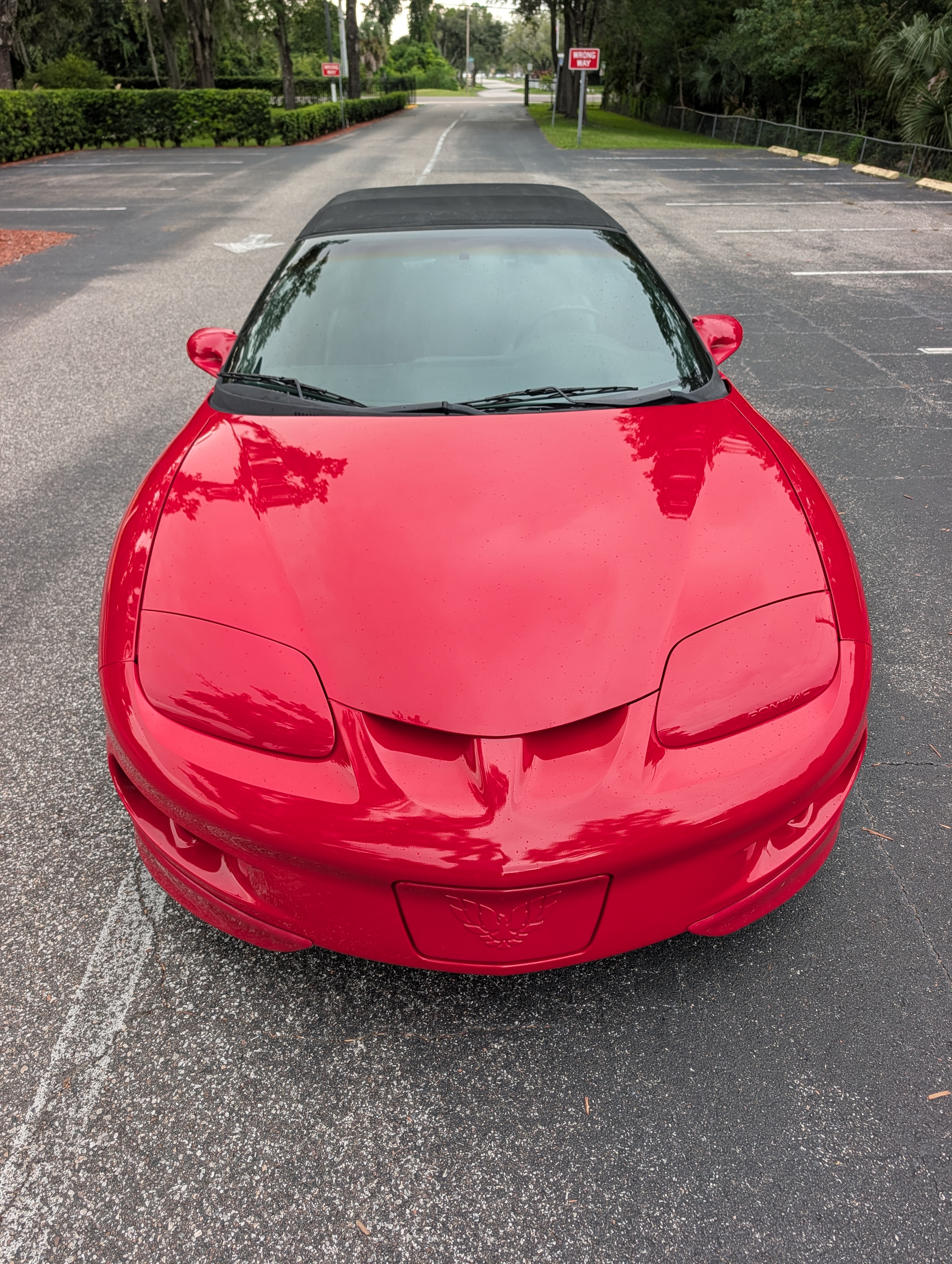 Used 2002 Pontiac Firebird Convertible w/ Sport Appearance Pkg RWD image 5
