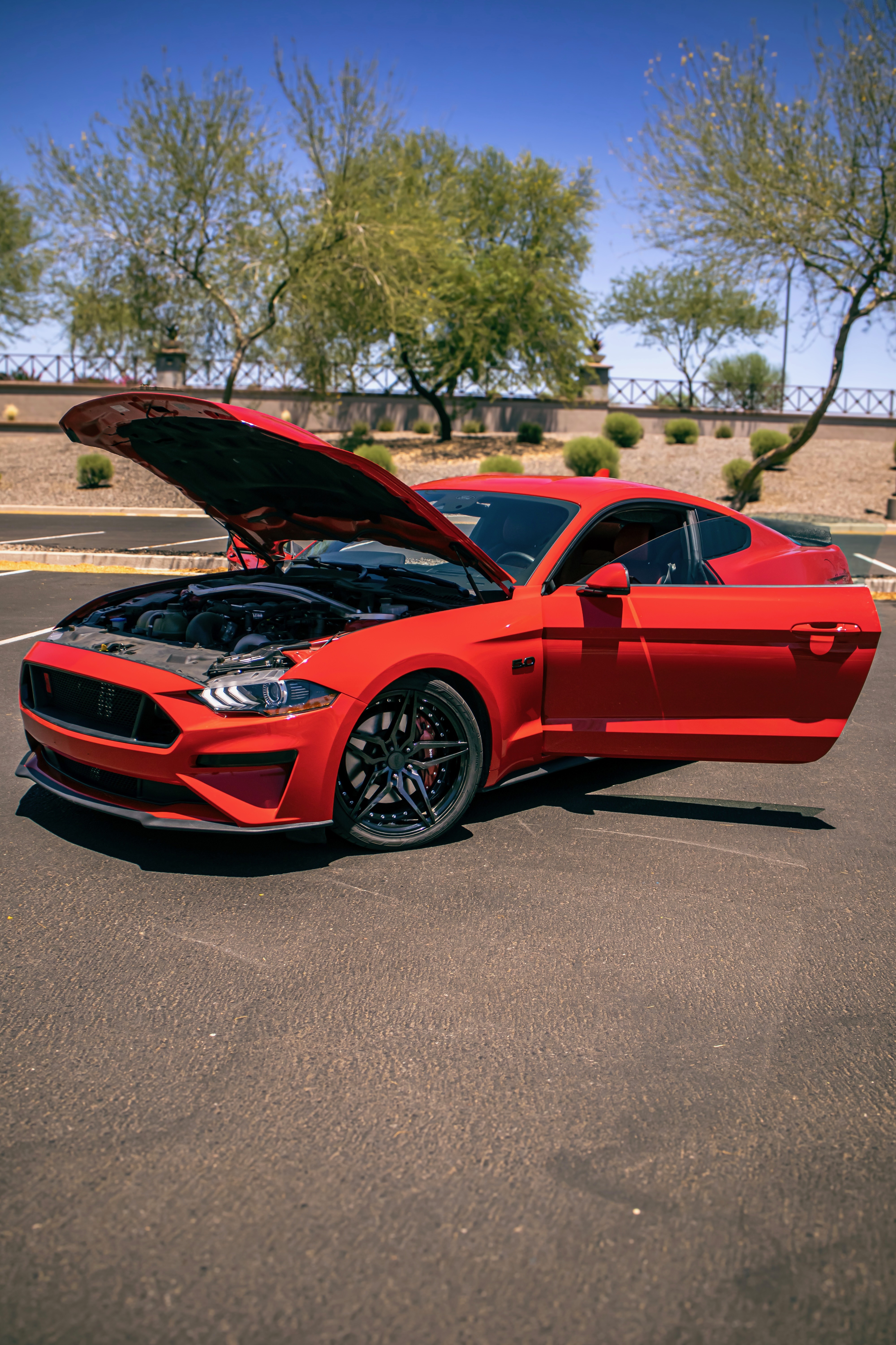 Used 2020 Ford Mustang GT Premium w/ Equipment Group 401A RWD image 1