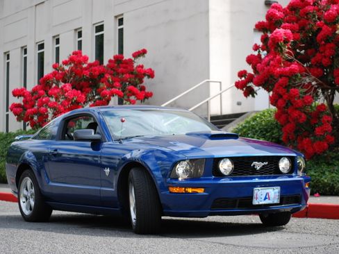 Used 2009 Ford Mustang GT Premium RWD image 1