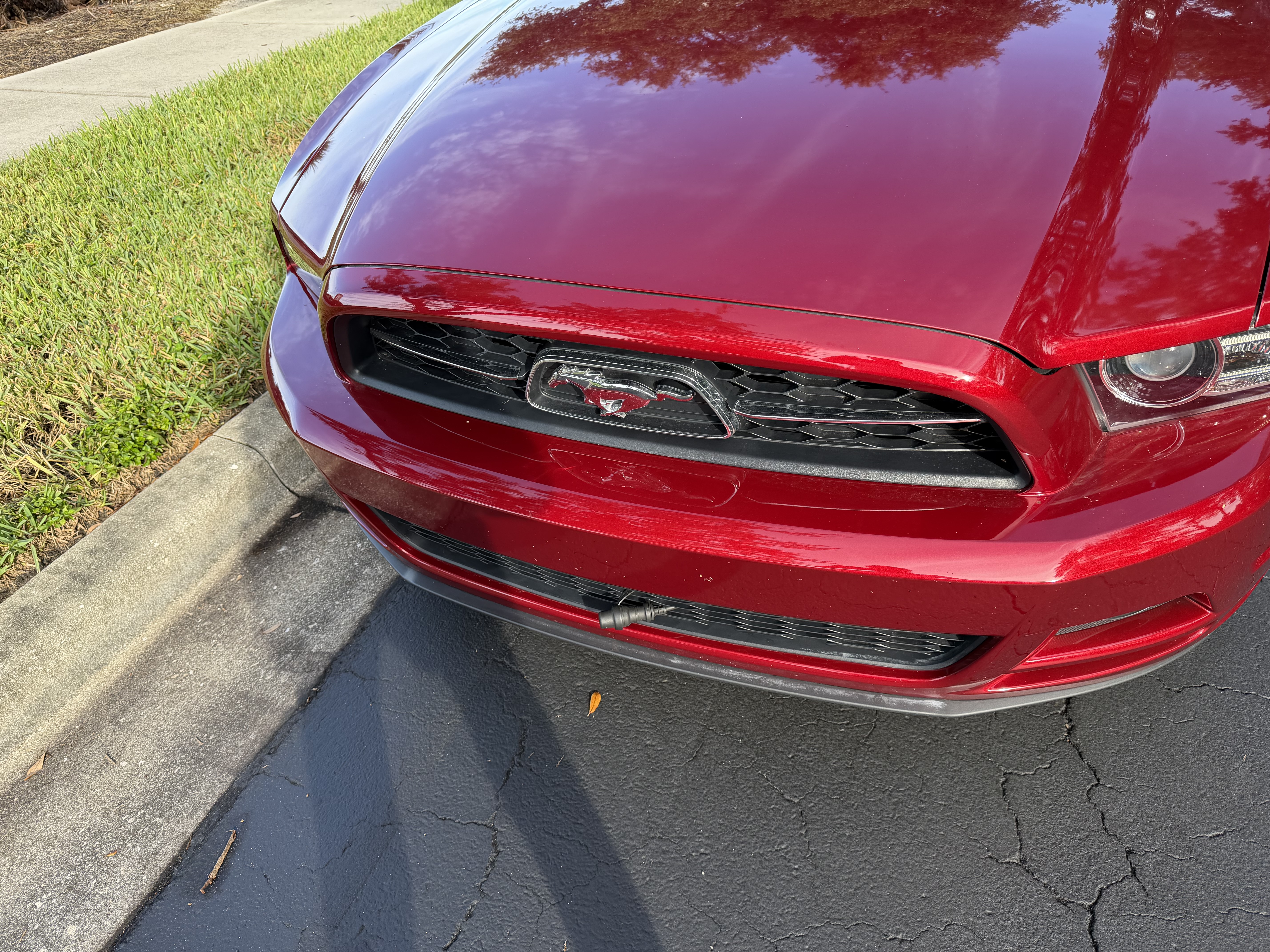 Used 2014 Ford Mustang Premium w/ Equipment Group 202A RWD image 21