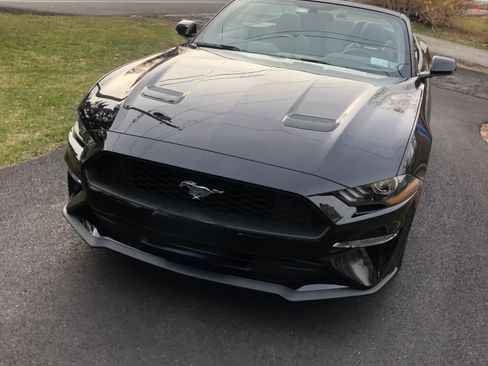 Used 2020 Ford Mustang Premium w/ Equipment Group 201A RWD image 10