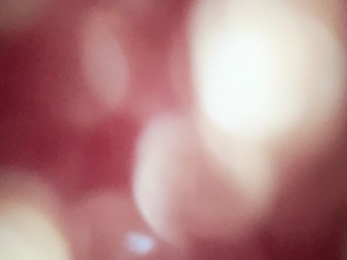 Used 2024 Toyota Tacoma TRD Sport w/ TRD Sport Premium Package image 18