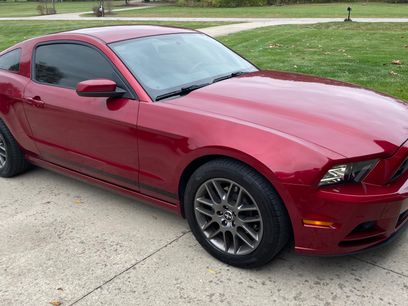 Used 2014 Ford Mustang Premium w/ Equipment Group 203A