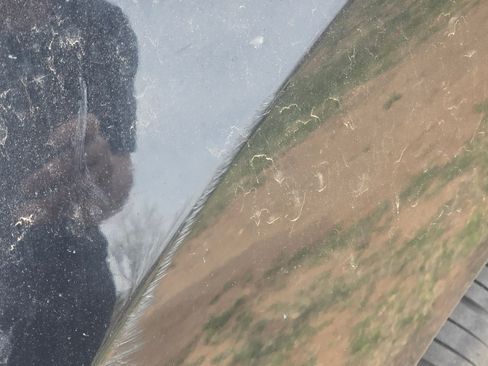 Used 2009 Volkswagen Beetle Coupe image 19