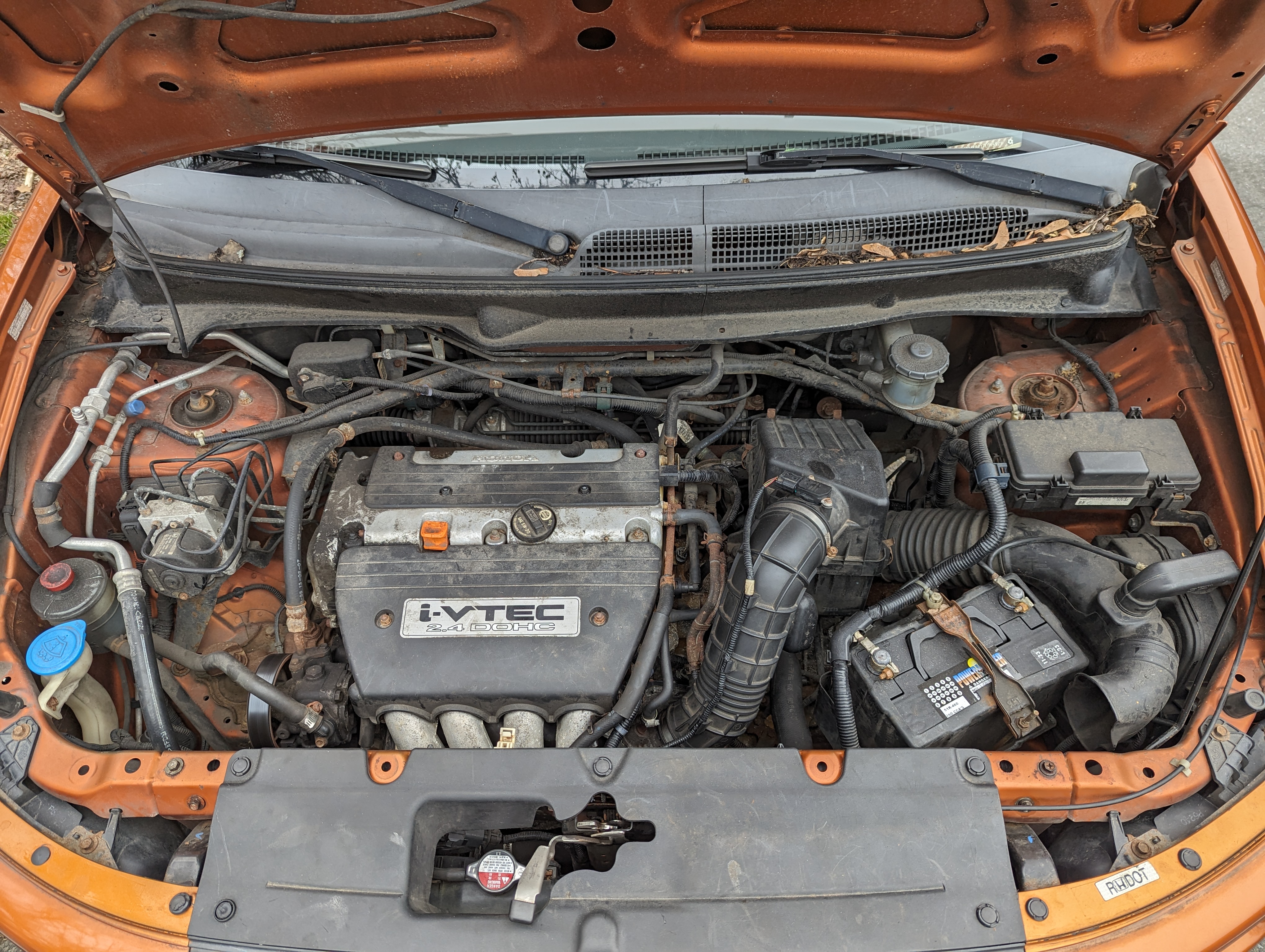 Used 2007 Honda Element EX image 6