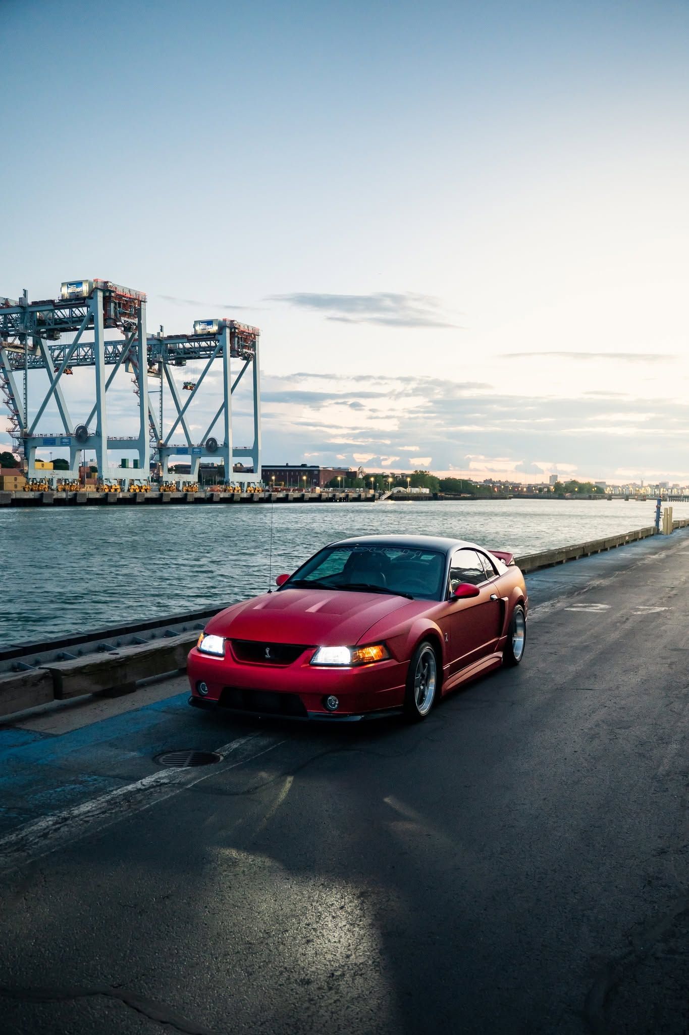 Used 2003 Ford Mustang Cobra RWD image 2