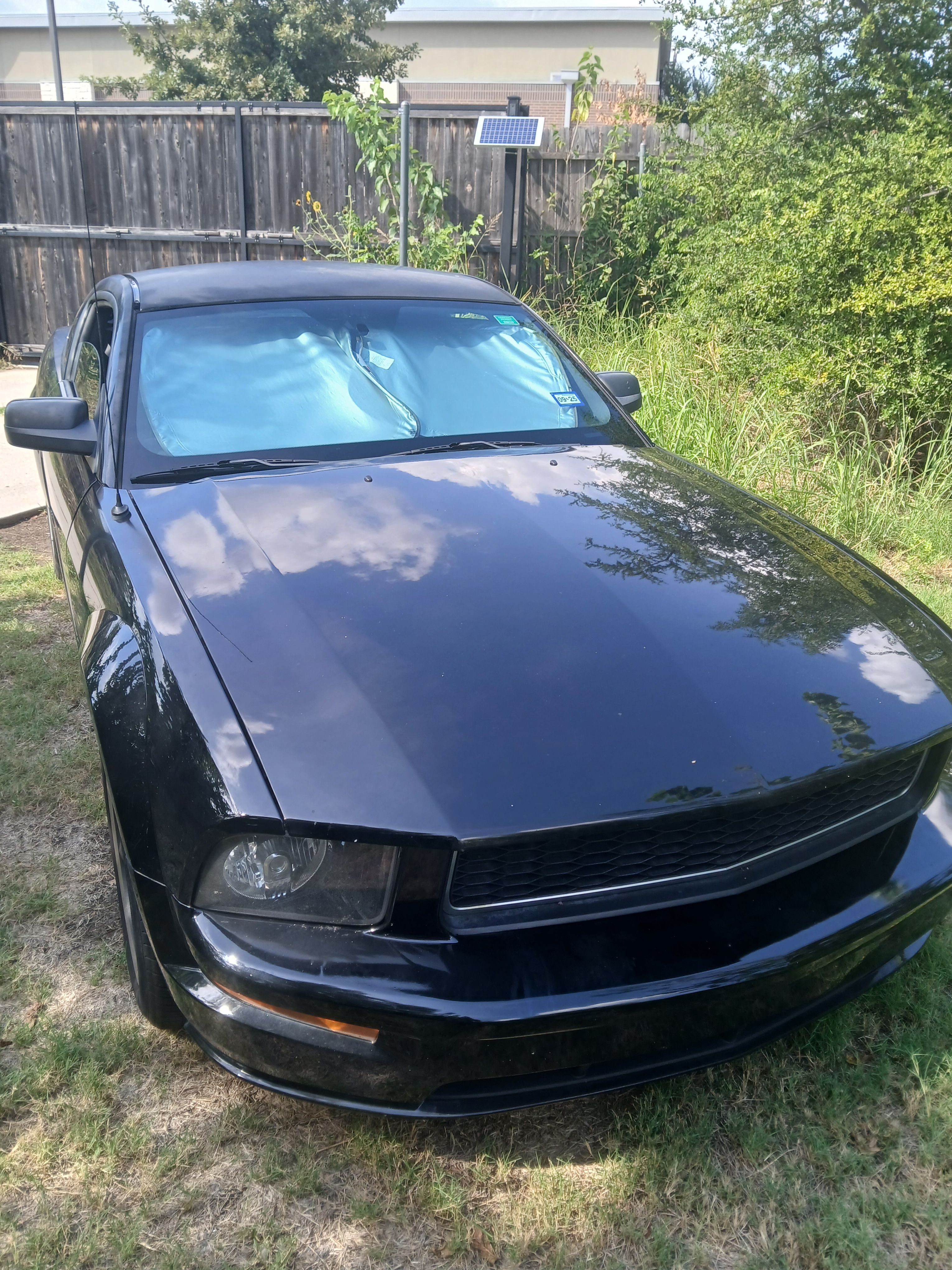 Used 2008 Ford Mustang GT Premium RWD image 1
