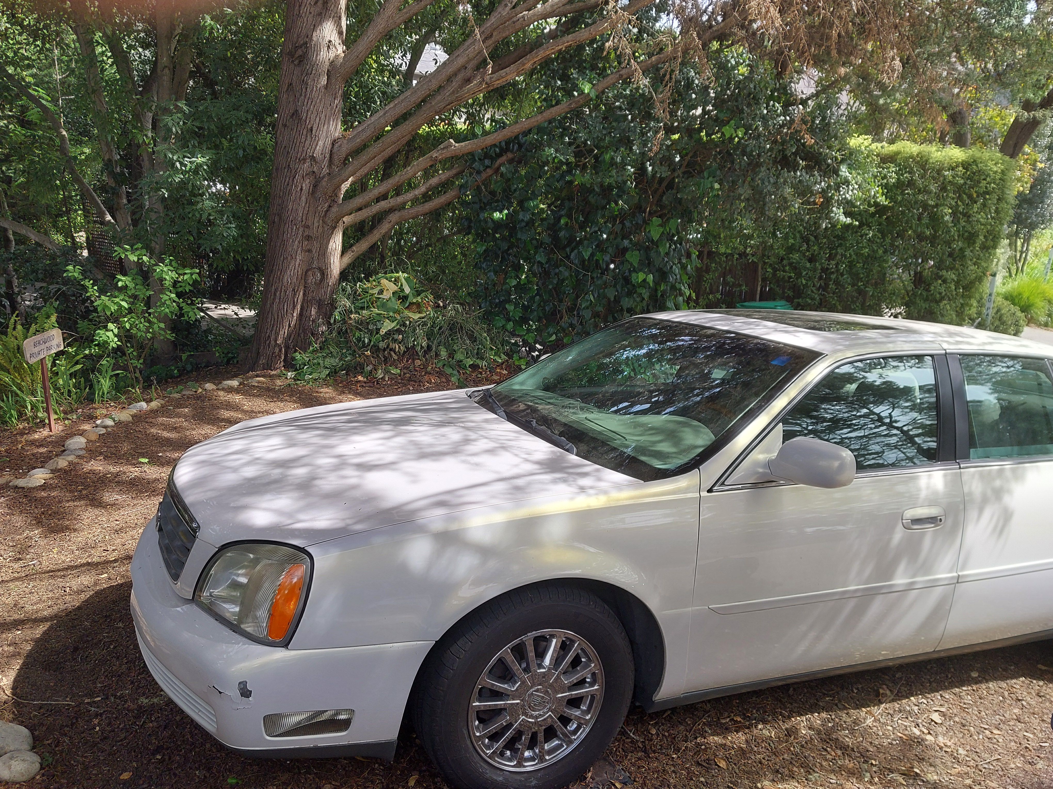 Used 2005 Cadillac De Ville DHS w/ Equipment Group FWD image 1