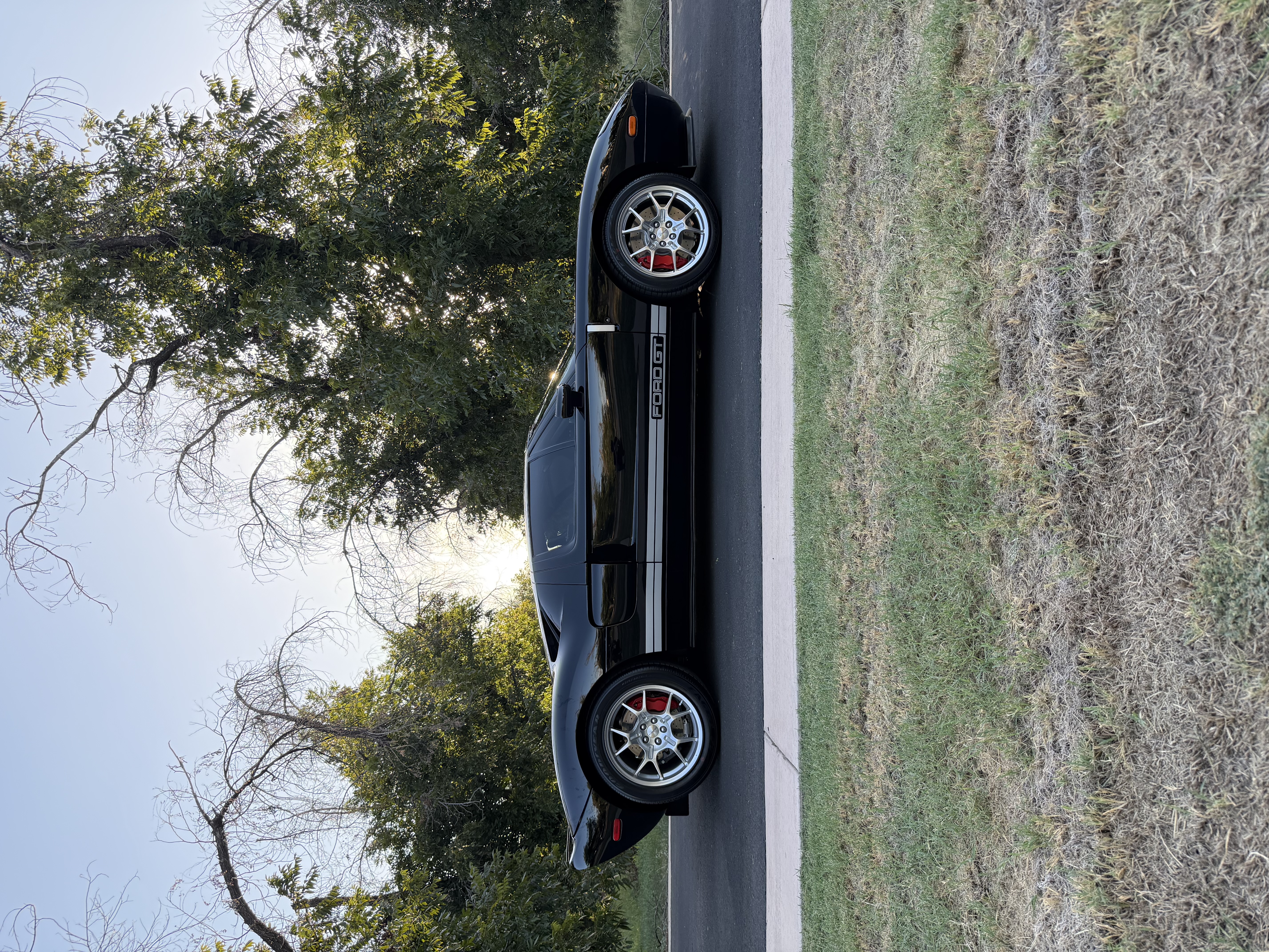 Used 2005 Ford GT RWD image 12