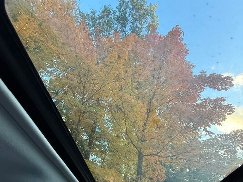 Used 2010 Toyota Corolla S image 9