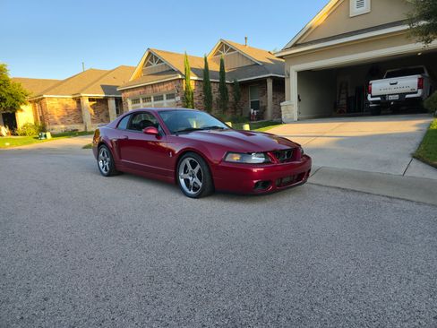 Used 2003 Ford Mustang Cobra RWD image 2